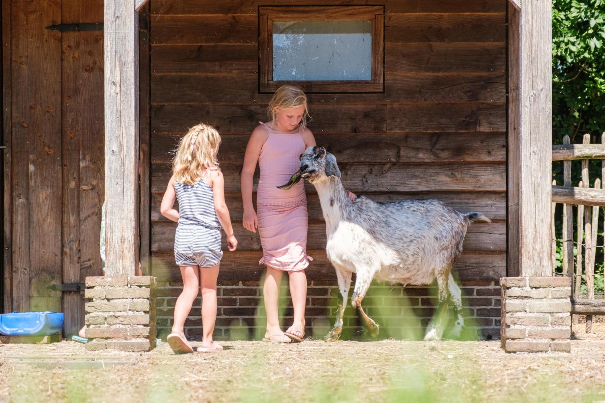 Camping De Pallegarste - Voor Uw Vakantiebestemming! Marienberg Esterno foto