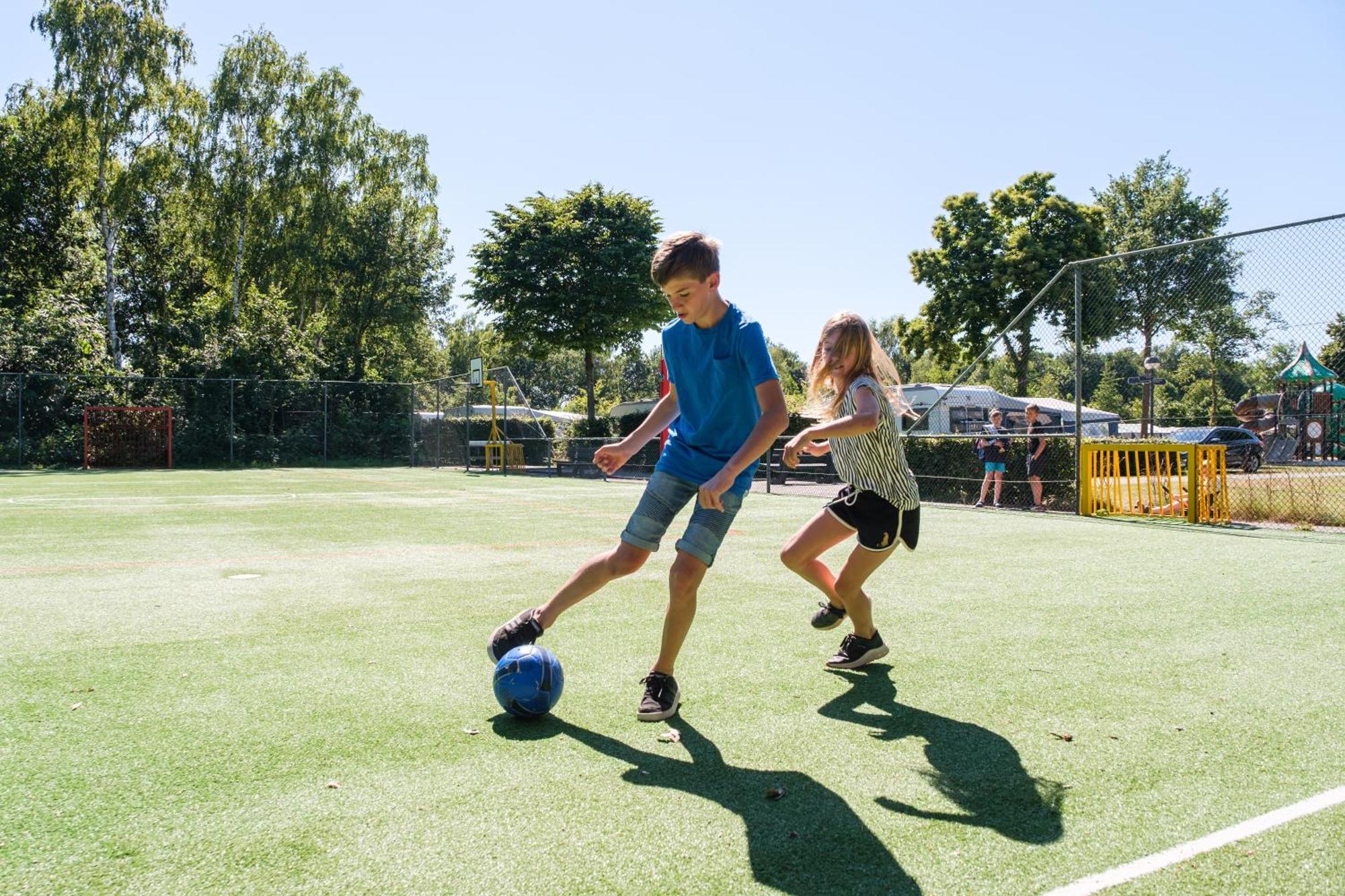 Camping De Pallegarste - Voor Uw Vakantiebestemming! Marienberg Esterno foto