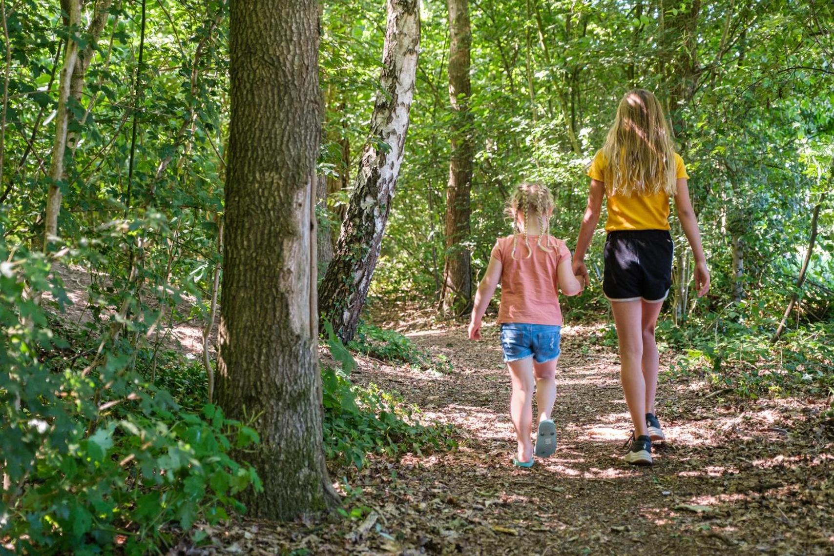 Camping De Pallegarste - Voor Uw Vakantiebestemming! Marienberg Esterno foto